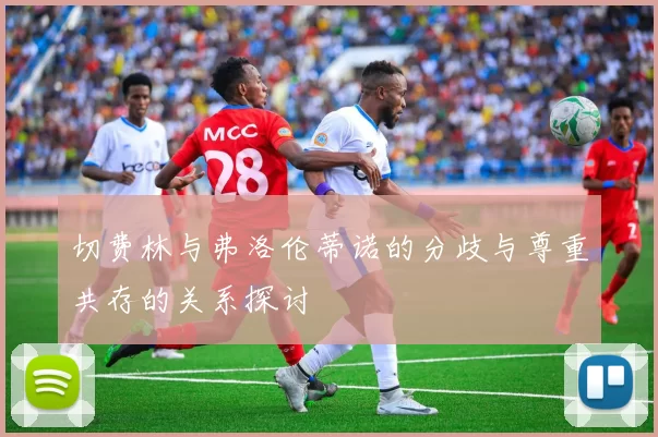 切费林与弗洛伦蒂诺的分歧与尊重共存的关系探讨